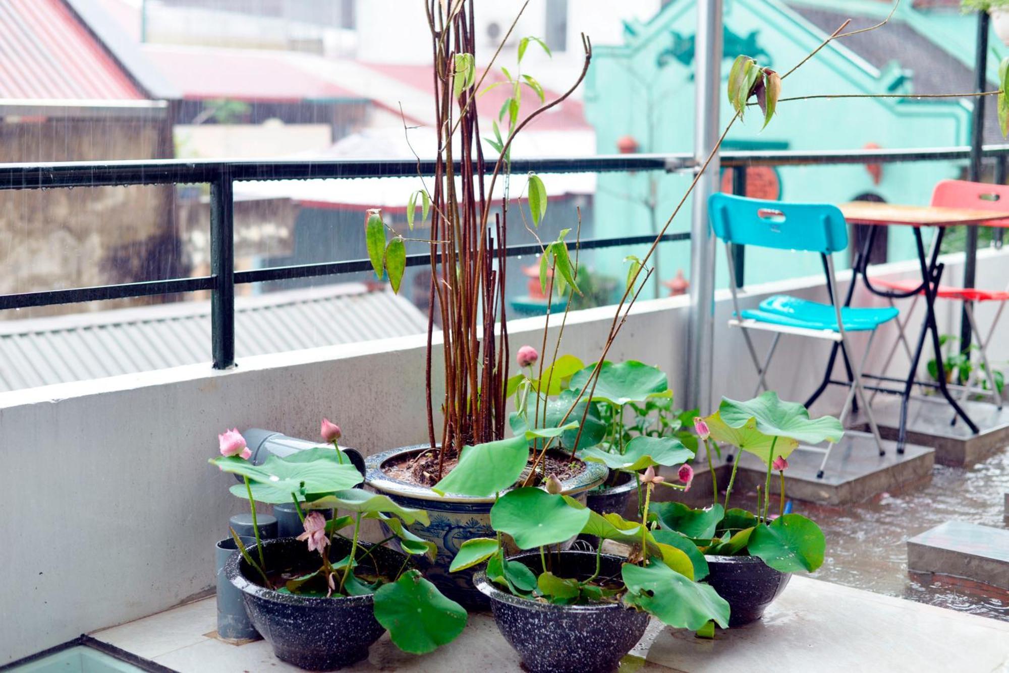 Wishhouse Hanoi