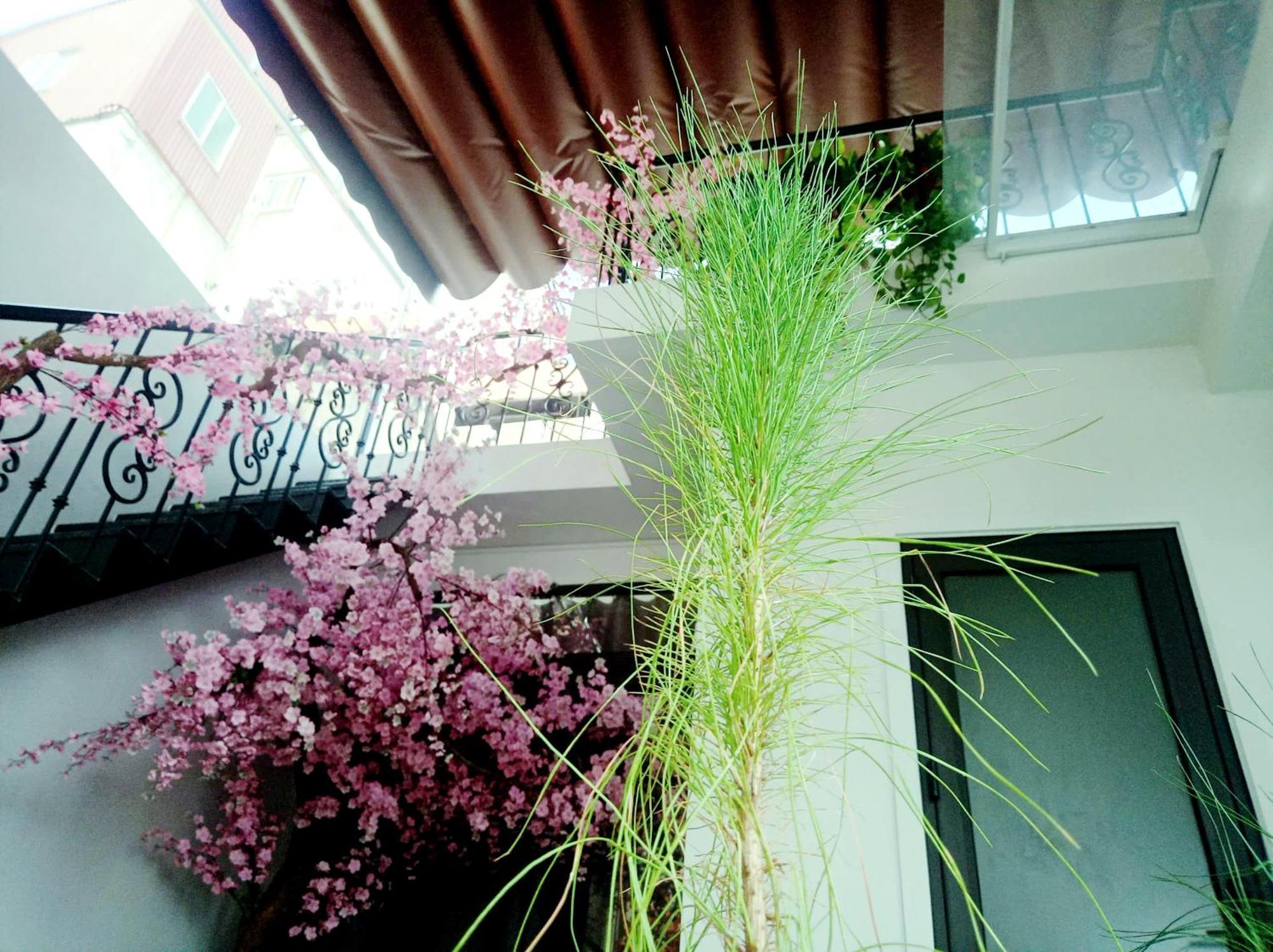 Wishhouse Hanoi